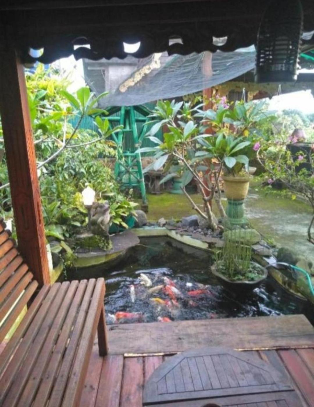 Bujak Permai Villa Matahari Lombok Ntb Praya Exteriér fotografie
